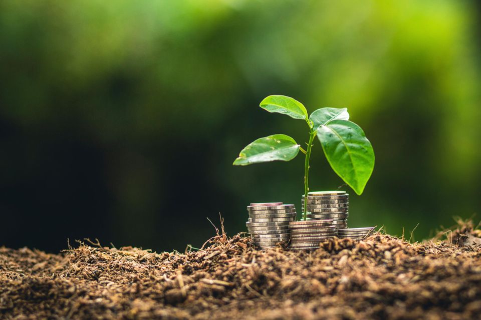 Finanzen: Nachhaltig Geld anlegen: So gelingt Rendite mit gutem Gewissen