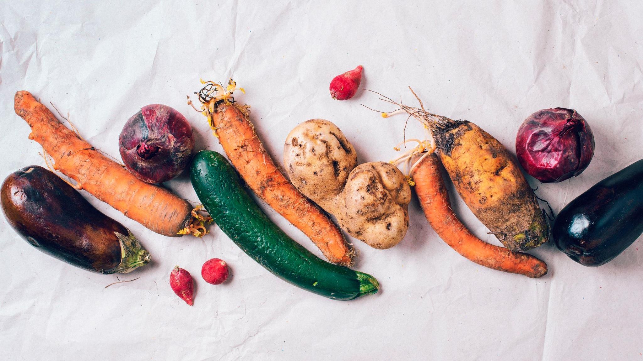 Lebensmittelverschwendung: Eine Woche nur gerettete Lebensmittel essen – geht das? Ein Selbstversuch