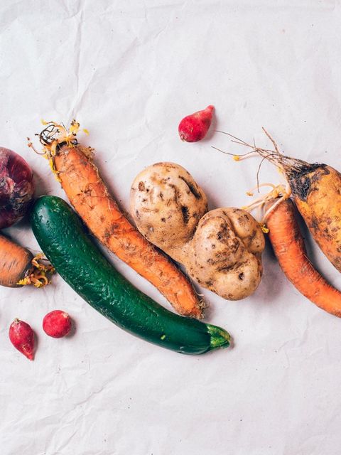Lebensmittelverschwendung: Eine Woche nur gerettete Lebensmittel essen – geht das? Ein Selbstversuch