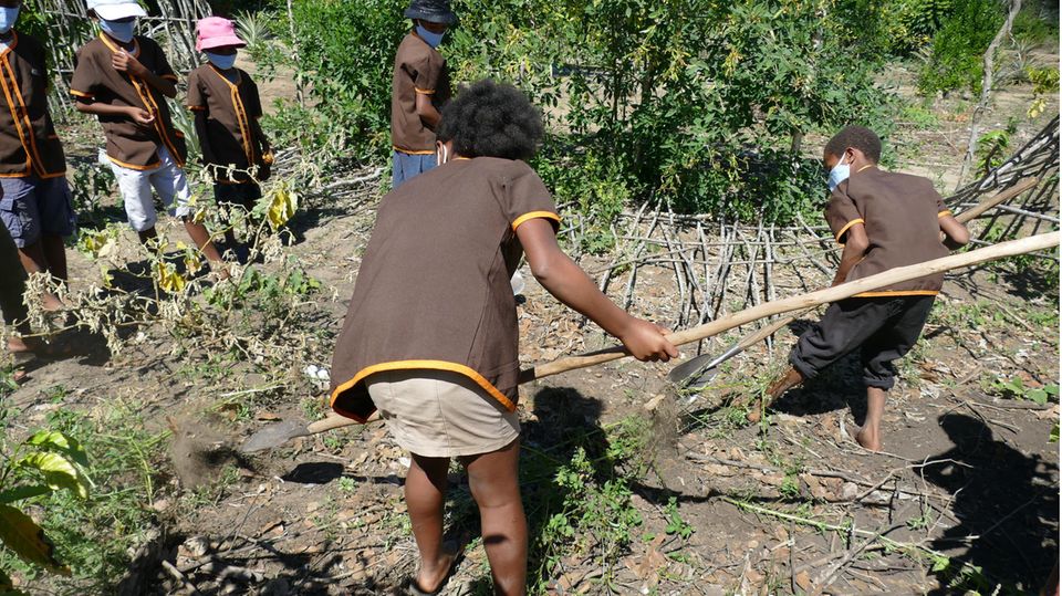 ... und sie lernen, selbst zu gärtnern