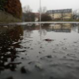 Eure Einsendungen zum Weltfototag