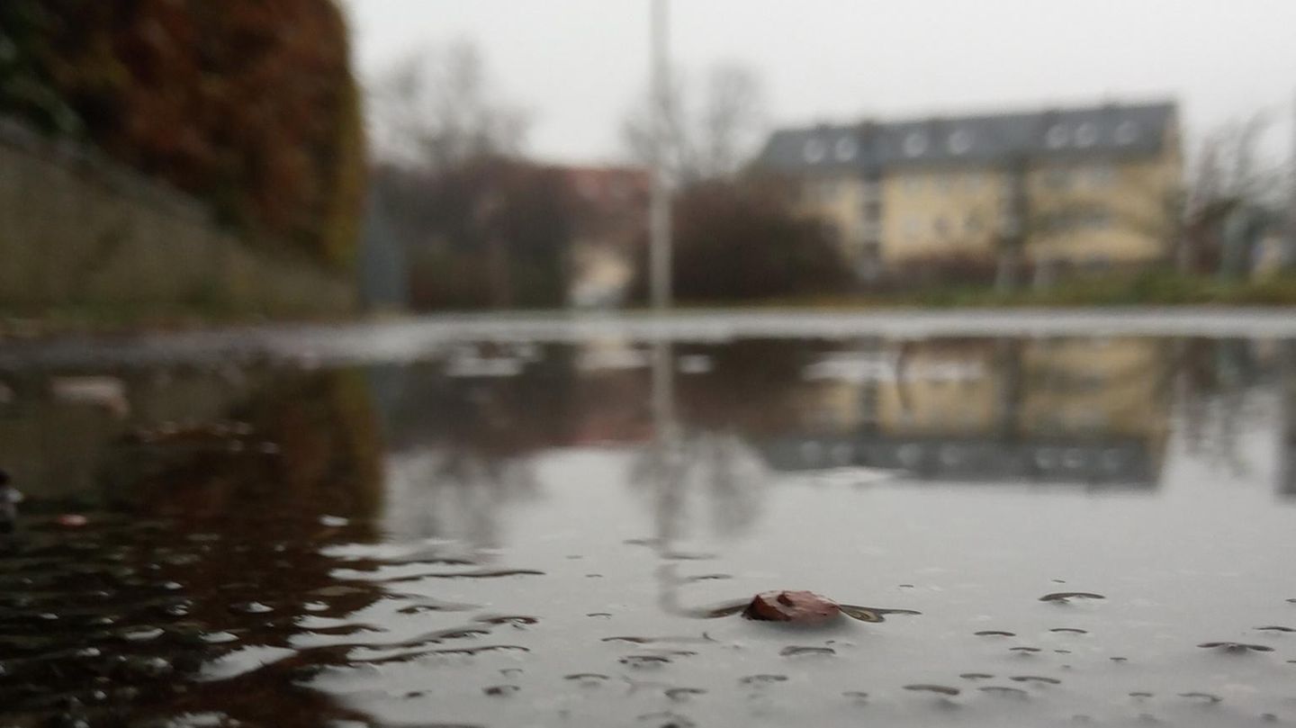 Eure Einsendungen zum Weltfototag