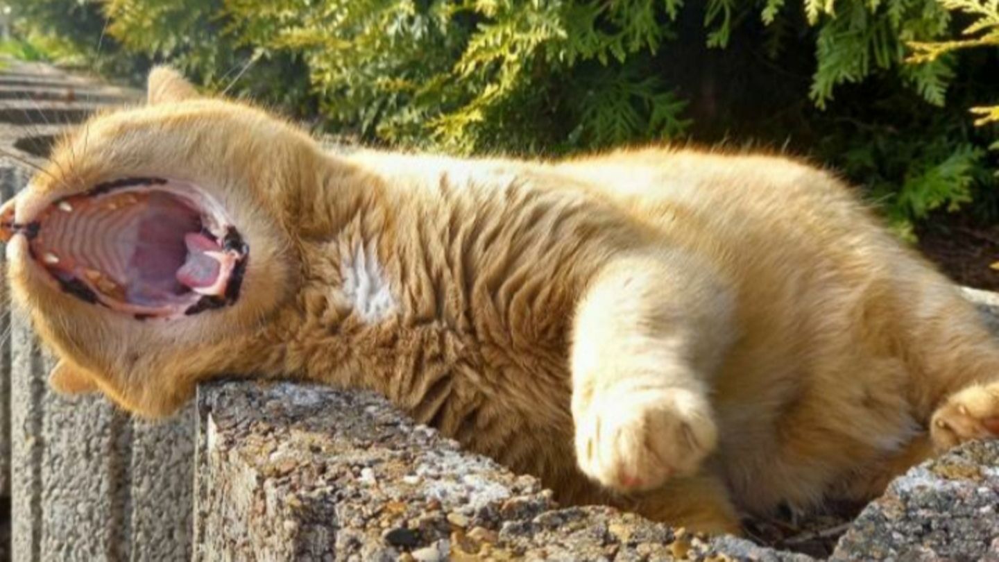 Eure Einsendungen zum Weltfototag Eure Einsendungen zum Weltfototag