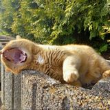 Eure Einsendungen zum Weltfototag