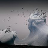 CEWE Photo Award - Andreas Wolde