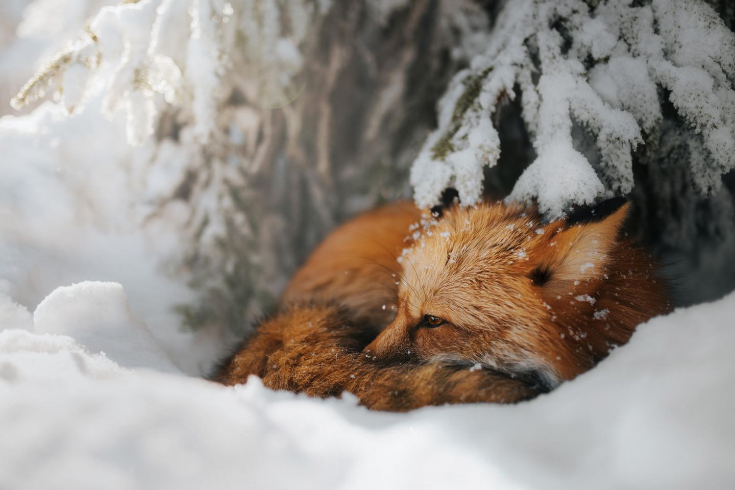 CEWE Photo Award - Grzegorz Bukalski