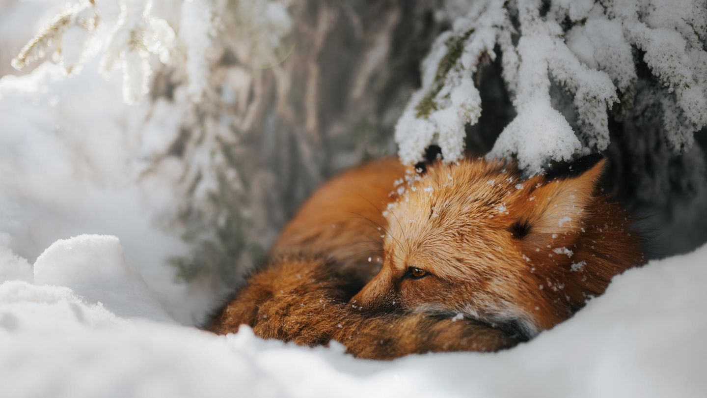CEWE Photo Award - Grzegorz Bukalski