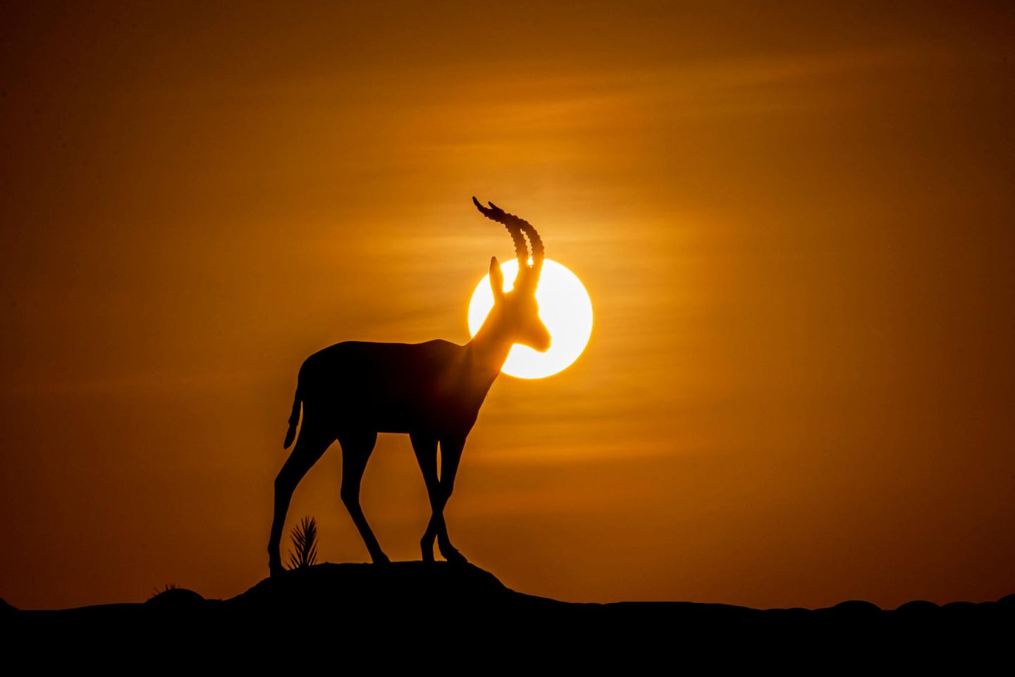 CEWE Photo Award - Morteza Akhnia