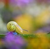 CEWE Photo Award - Giuseppe Bonali