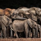 CEWE Photo Award - Josef Schwarz