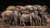 CEWE Photo Award - Josef Schwarz