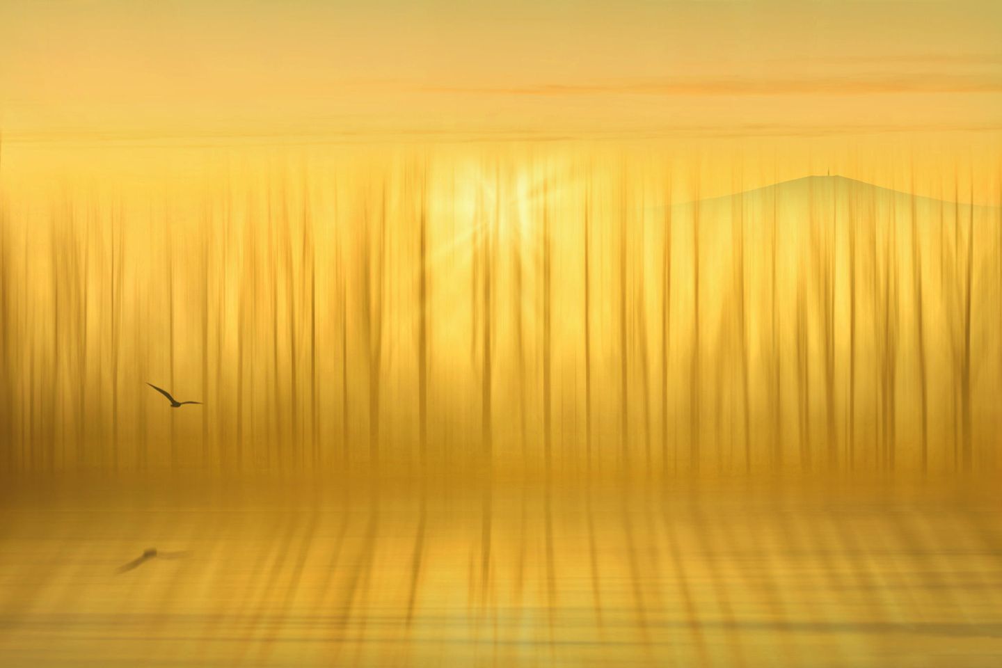CEWE Photo Award - Zdeněk Vošický