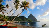 Auf St.Lucia steht eine Palme am Sandstrand vor einem Berg
