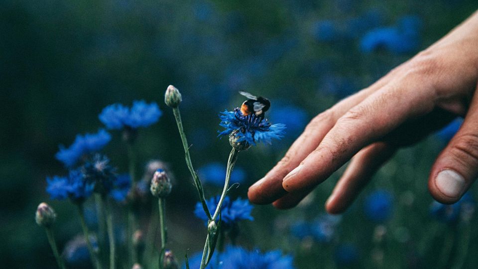 Dass wir Menschen Teil der Natur sind, spüren viele in der modernen Welt nur noch unzureichend