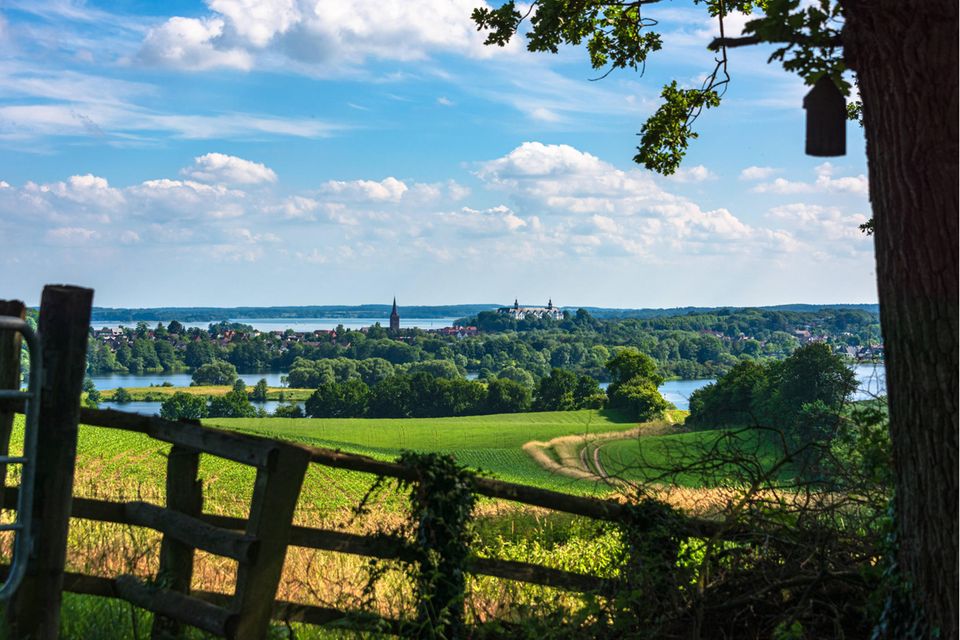 Der Große Plöner See ist das eiszeitlich geprägte Zentrum der Holsteinischen Schweiz