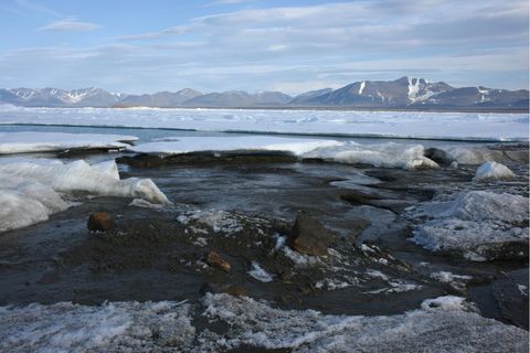 Das kleine noch unbenannte Eiland am nördlichsten Zipfel Grönlands ist möglicherweise die wohl nördlichste Insel der Welt - entdeckt wurde sie von Forschern der Universität Kopenhagen