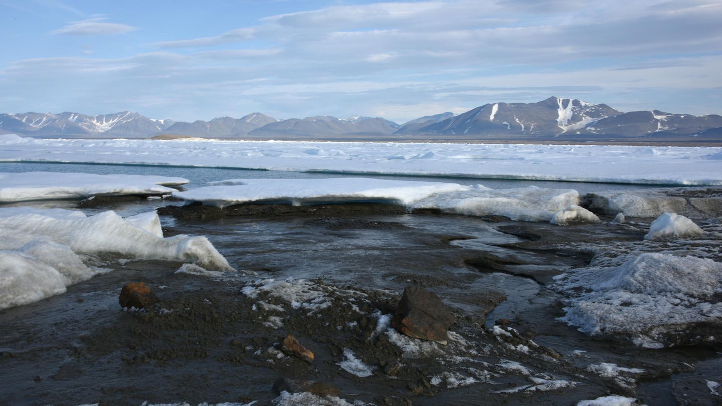 Das kleine noch unbenannte Eiland am nördlichsten Zipfel Grönlands ist möglicherweise die wohl nördlichste Insel der Welt - entdeckt wurde sie von Forschern der Universität Kopenhagen