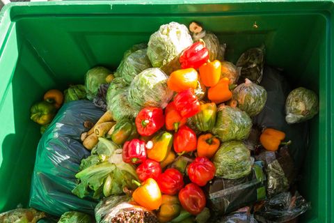 Gute Frage: Sollte Containern erlaubt sein?