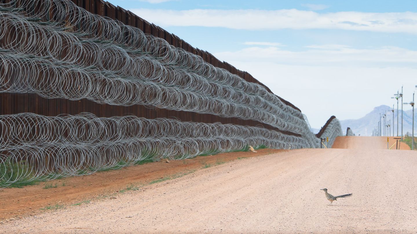 Alejandro Prieto/Bird Photographer of the Year