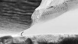 Renato Granieri/Bird Photographer of the Year
