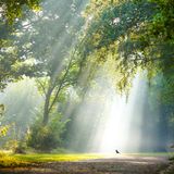 01.09.2021      "Mann muss nicht immer groß sein, manchmal wirkt auch das ganz kleine, ganz groß."      Ort: Torfmoorsee/Hörstel  Kamera: Sony A7 III mit dem Sony FE 200-600 mm f/5.6-6.3 G OSS  Mehr Fotos von Michael Schmidt 