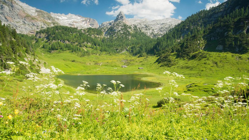 Funtensee im Sommer mit dem Schottmalhorn im Hintergrund Funtensee im Sommer mit dem Schottmalhorn im Hintergrund