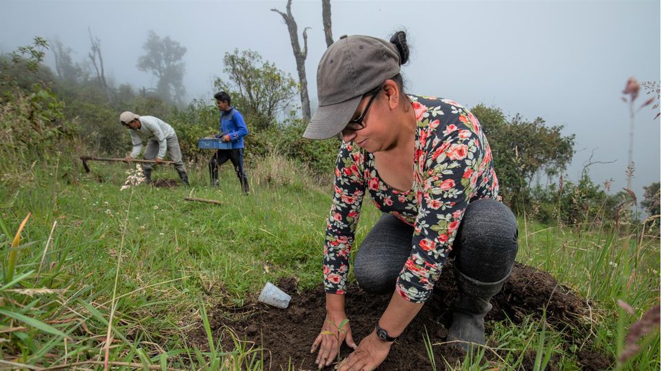 Helferin Carmen Diaz drückt einen Setzling an. 17 heimische Baumarten wurden im Frühjahr 2021 auf dem Gelände gepflanzt