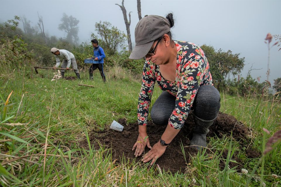 Helferin Carmen Diaz drückt einen Setzling an. 17 heimische Baumarten wurden im Frühjahr 2021 auf dem Gelände gepflanzt
