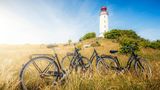 Leuchtturm Dornbusch auf der Insel Hiddensee