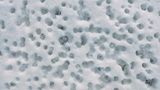Löcher im Schnee - Trypophobie