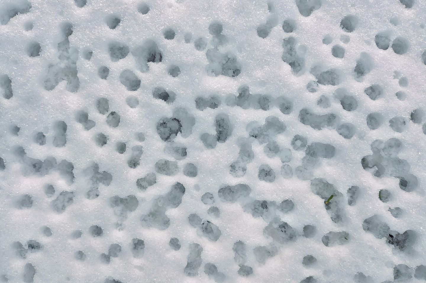 Löcher im Schnee - Trypophobie