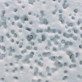 Löcher im Schnee - Trypophobie