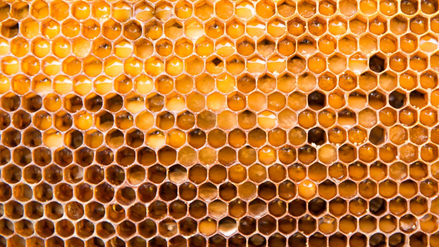Bienenwabe