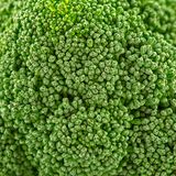 Nahaufnahme eines Kopfes von frischem Brokkoli