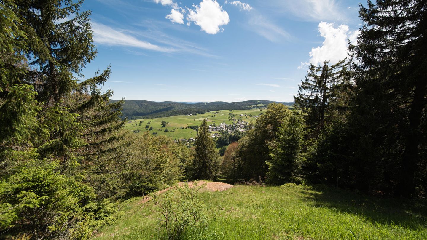 Baden-Württemberg Blick vom Schauinsland Turm