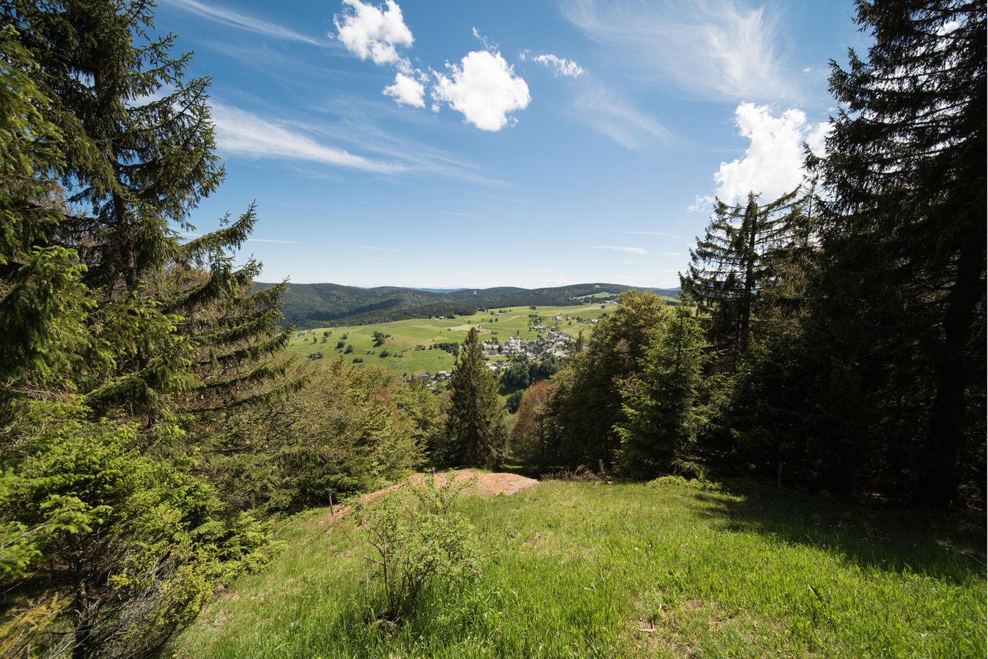 Blick vom Schauinsland Turm