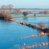 Die überfluteten Wümmewiesen in Bremen-Borgfelld