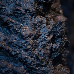 Chemie einfach erklärt: Das "Schwarze Gold" aus der Tiefe: Steinkohle ist ein festes Sedimentgestein, das vor Urzeiten aus den Rückständen von Pflanzen entstand