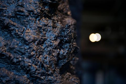 Chemie einfach erklärt: Das "Schwarze Gold" aus der Tiefe: Steinkohle ist ein festes Sedimentgestein, das vor Urzeiten aus den Rückständen von Pflanzen entstand