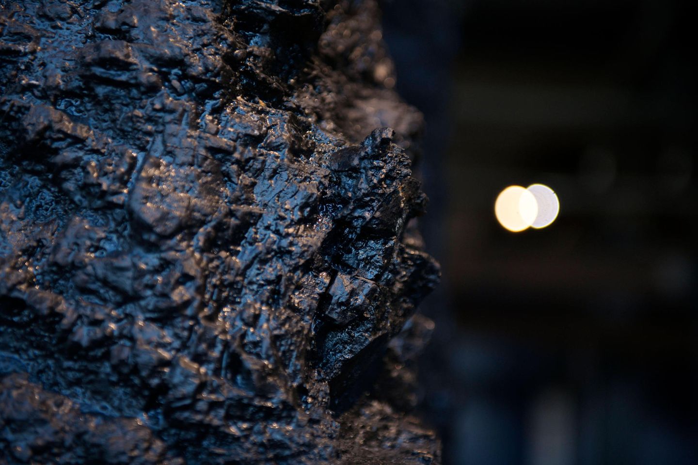 Chemie: Das "Schwarze Gold" aus der Tiefe: Steinkohle ist ein festes Sedimentgestein, das vor Urzeiten aus den Rückständen von Pflanzen entstand