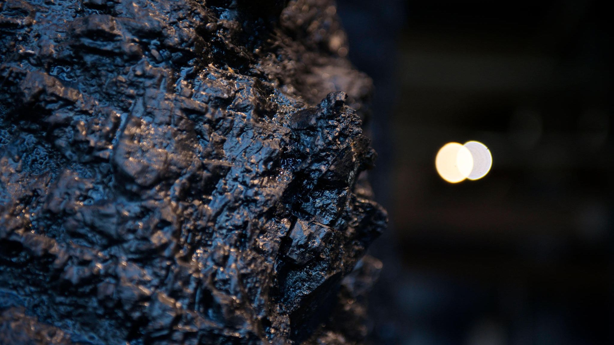 Chemie einfach erklärt: Das "Schwarze Gold" aus der Tiefe: Steinkohle ist ein festes Sedimentgestein, das vor Urzeiten aus den Rückständen von Pflanzen entstand