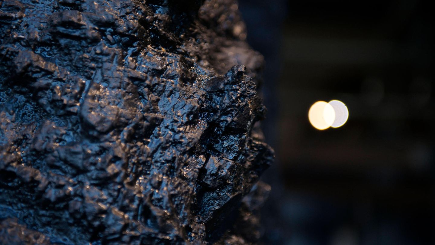 Chemie einfach erklärt: Das "Schwarze Gold" aus der Tiefe: Steinkohle ist ein festes Sedimentgestein, das vor Urzeiten aus den Rückständen von Pflanzen entstand