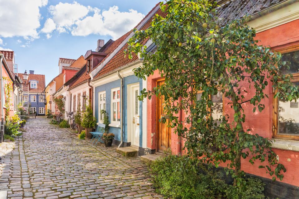 Gepflasterte Straße mit bunten Häusern in der Altstadt von Aalborg, Dänemark  1.3913