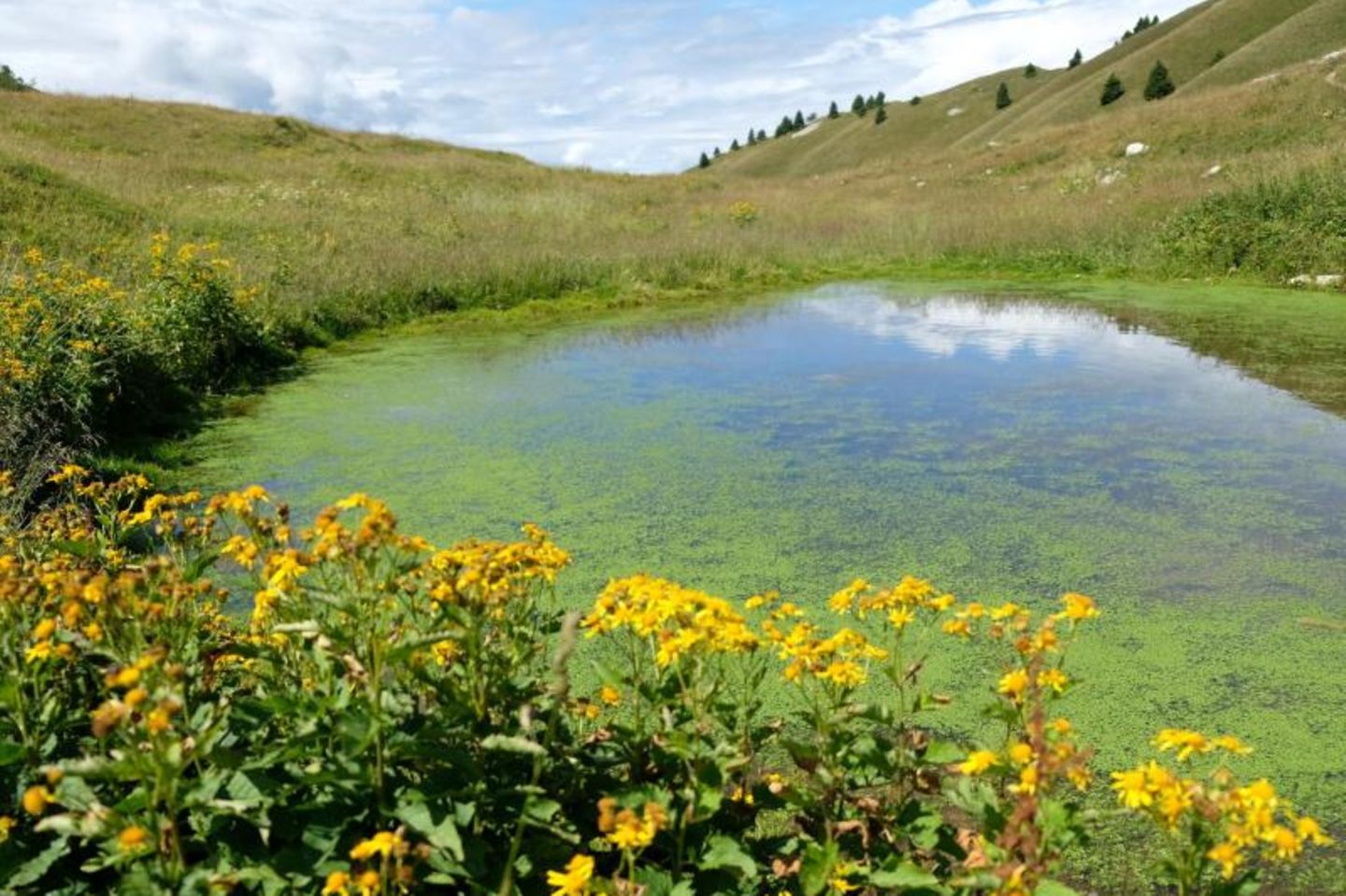 Natur in den Ledro-Alpen