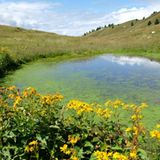 Natur in den Ledro-Alpen
