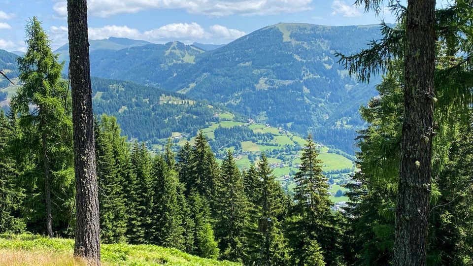 Ausblick auf die Berge