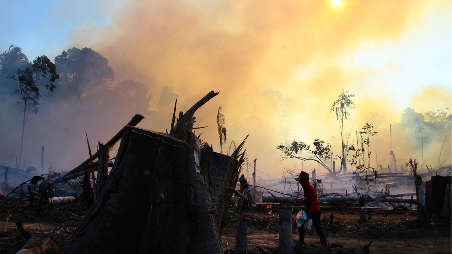 Waldbrände am Amazonas