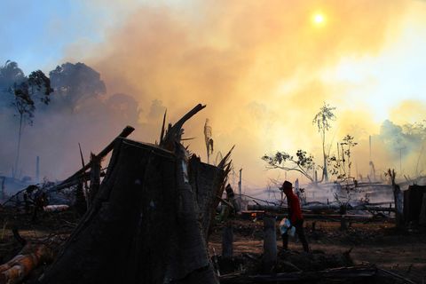 Waldbrände am Amazonas