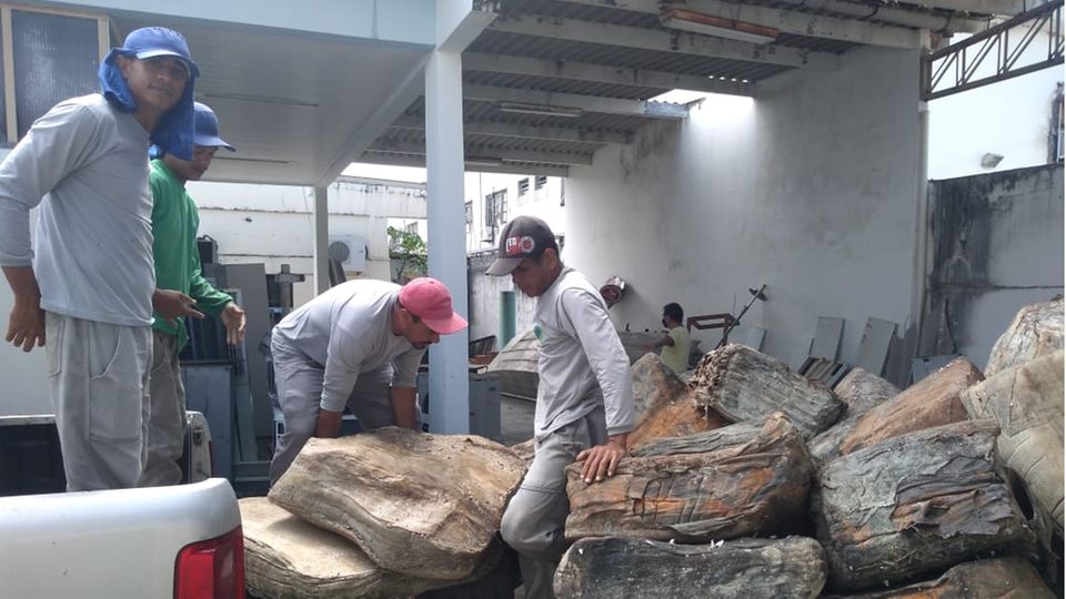 Mitarbeiter der brasilianischen Staatlichen Umweltverwaltung (Adema) laden das Strandgut aus einem Wagen