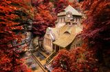 Stará Plynárna, ein altes Gaswerk, mit rot gefärbten Laubbäumen im Herbst